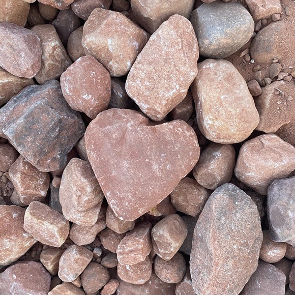 Meet your Posher, Erin - Picture 4 of 16